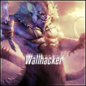 39391_Wallhacker22.