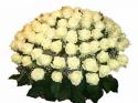 39454_buket_iz_belyh_roz.