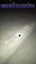 39571_PicsArt_13_08_2014_3_23_44.