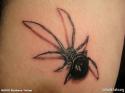 39616_Spider_2.