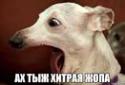 39617_index.