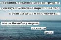 39795_7287092_0_0_AqiSHJ_CMAAnCCC_tlog.