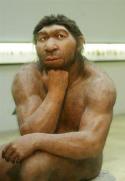 3997a3540bc982_148407.