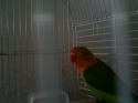 40025_IMAG0017.
