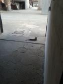 40030_2014-08-02_18_31_29.