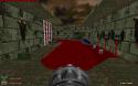 4005Screenshot_Doom_20100730_173836.