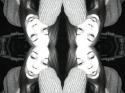 40299_webcam-toy-photo614.