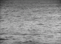 40301_4199936_0_0_5d66c88e90JHJSTWG_81206_134512e1d2_tlog.