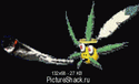 4030cannabis.