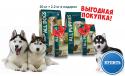 40338_ALL-DOGS-dlya-rassylki_600h366.