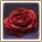 40378_roza.