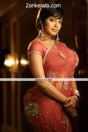 40387_after-rima-kallingal-in-saree-still-1.