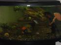 40415_DSCF0574.