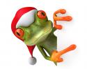 40578_3d-funny-frog-christmas-santa-7573.