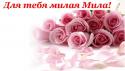 40595_mila.