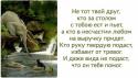 40693_KiNHLVVB2Gc.