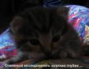 40717_07-03-02.