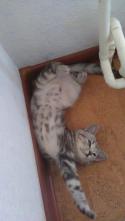 40729_IMAG0703.