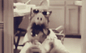 40793_alf2.