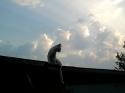 40897_Foto1104.