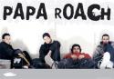 40954_1308855064_papa-roach-landscape-4900186.