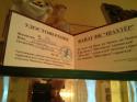 40970_9f70961-polezhaj-marija---fanatka---shakhtarja-_jpg_pagespeed_ce_pG7MIlferw.