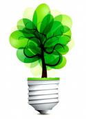 41048_green_light_bulb1.