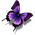 41099_Other-Butterfly-icon.