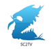 41215_sc2tv.