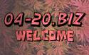 41297_MgMknBWD0y.