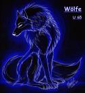 4147Wolf_Discraceful-1.