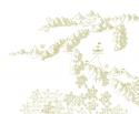 41485_map.