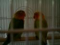 41537_IMAG0011.