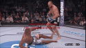 41697_UFC_on_Fox_Shogun_vs_Sonnen_17th_Aug_2013_HDTV_x264-Sir_Paul.