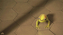 42003_tumblr_mkysb31L521rj8l64o3_250.