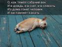 42139_AbVSfjaS-mM.