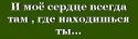 42501_Be11zy12mya11nnyi.