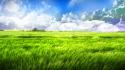 42515_field.