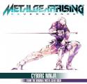 4251_Metal-gear-rising-cyborg-ninja-gray-fox.