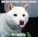 42743_ZNe0hu3TooE.