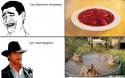 4275Komiksy-chak-norris-79525.