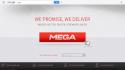 42843_mega.