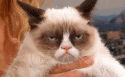 42861_grumpy-cat.