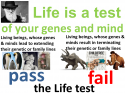 42922_lifetest.