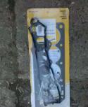 4309_17647226conbioterlengdownre16287830.
