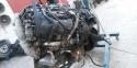 43101_13132568stanadamanteli18162748.