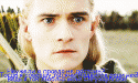 43118_tumblr_mkdf.
