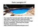 43174_Pools_Lexington_KY.