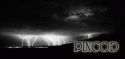 4317_061d8bf1.
