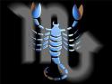 43260_Zodiaki_Skorpion-04-a.